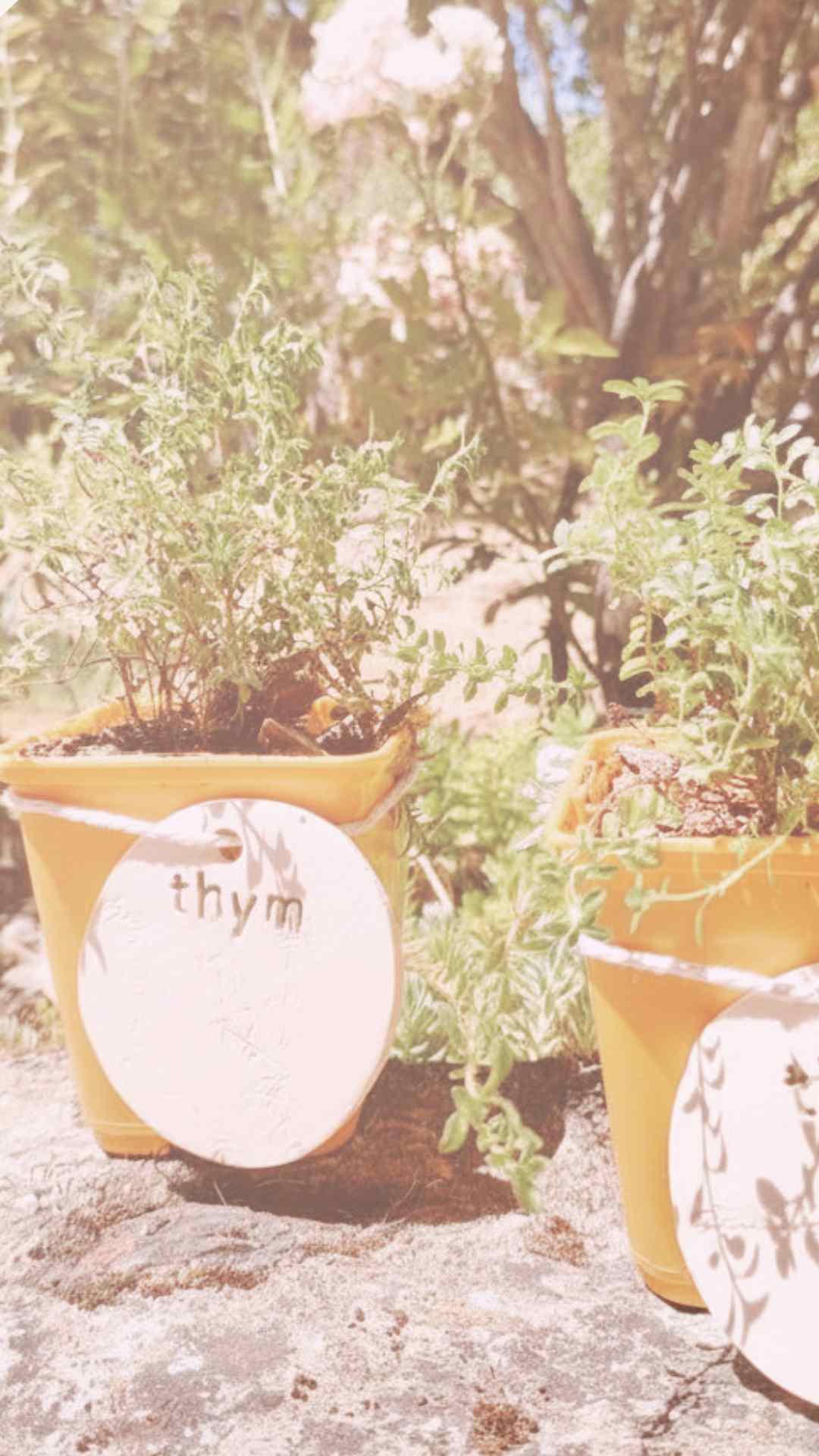 Spécial été - jardin – Image 2